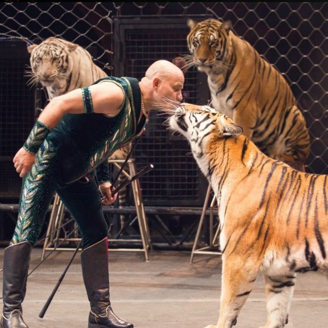 Легендарный американский цирк Ringling Bros. Circus закрывается из-за зоозащитников