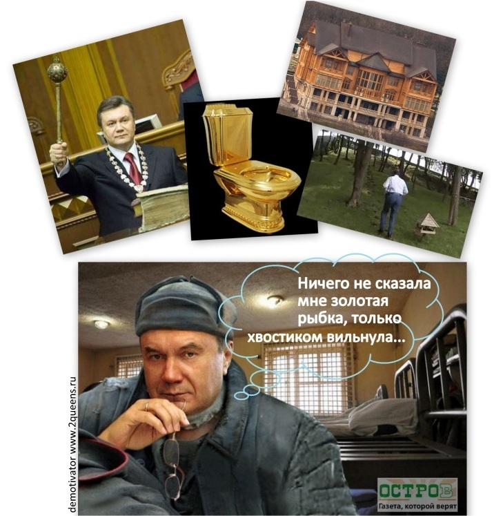 демотиватор янукович фотожаба майдан залотой унитаз хонка